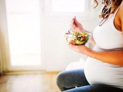 Nat Metab. | 警惕孕期能量过剩——科学家证实了多巴胺能环路介导了孕期对食物的过度渴求